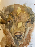 Buffalo in Watercolor